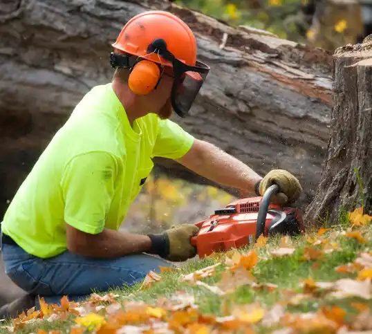 tree services Mathiston